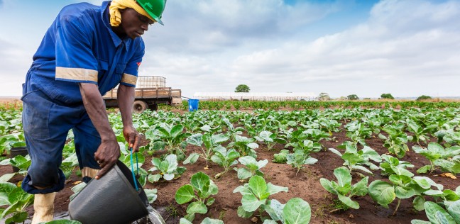 Agriculture